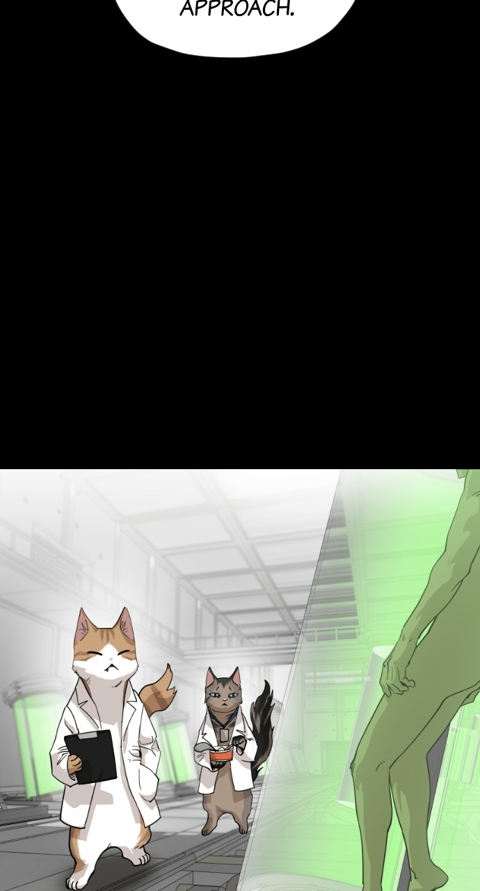 Read Meow Rangers Manga Online