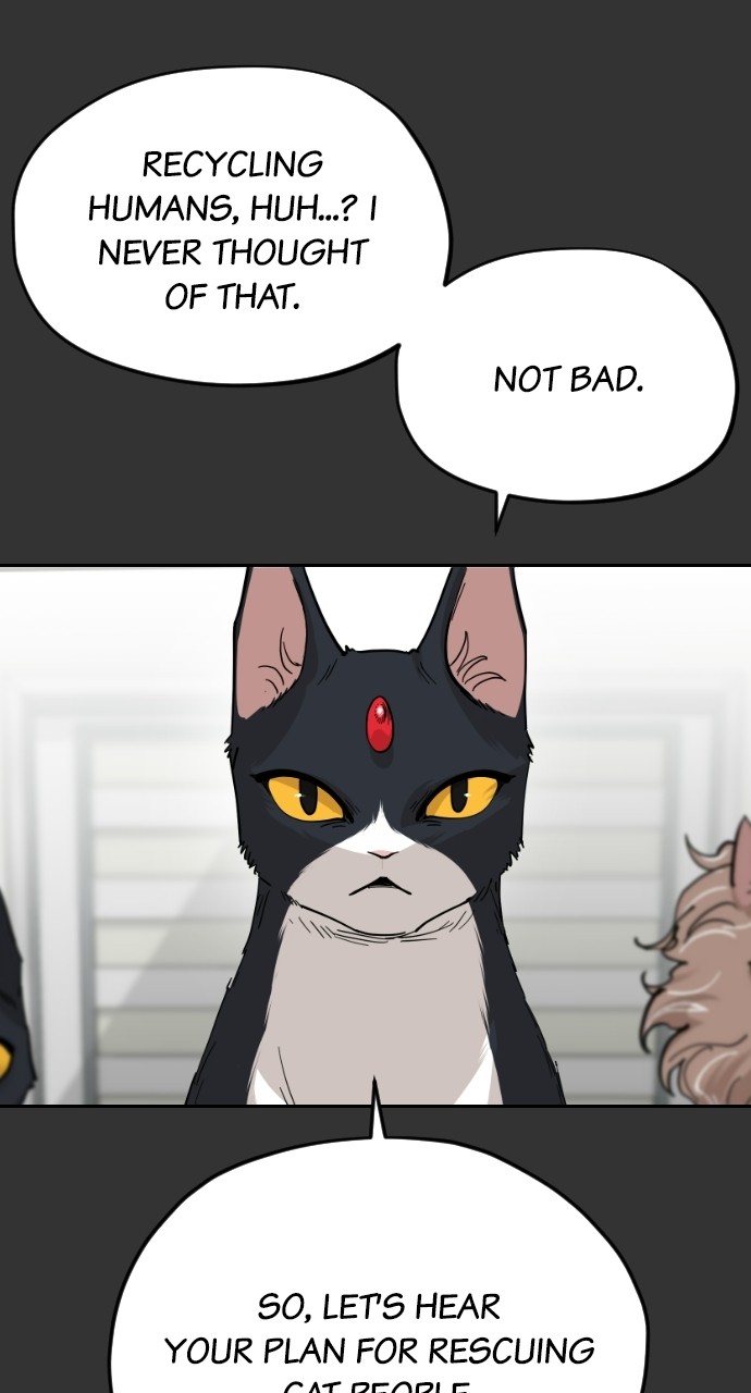 Read Meow Rangers Manga Online