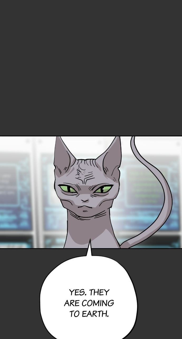 Read Meow Rangers Manga Online