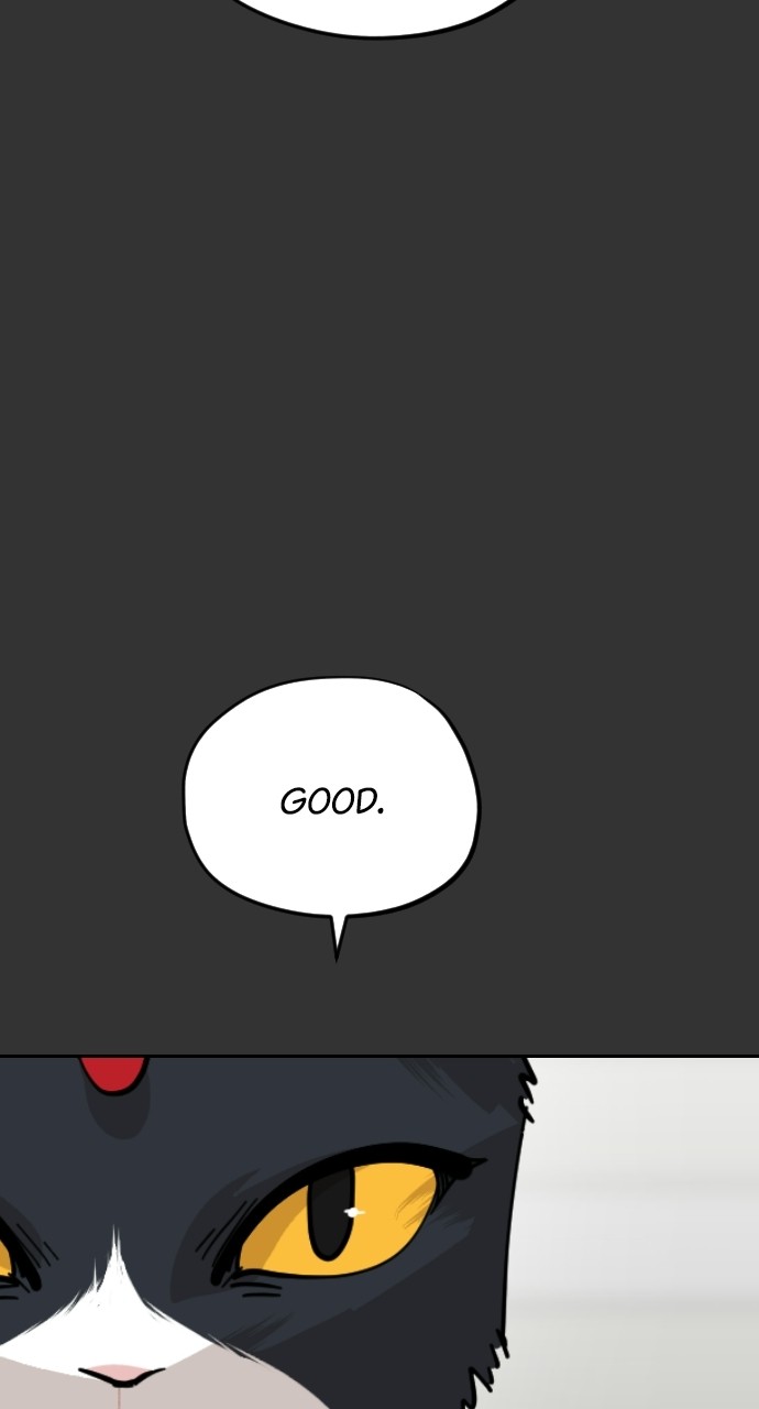 Read Meow Rangers Manga Online