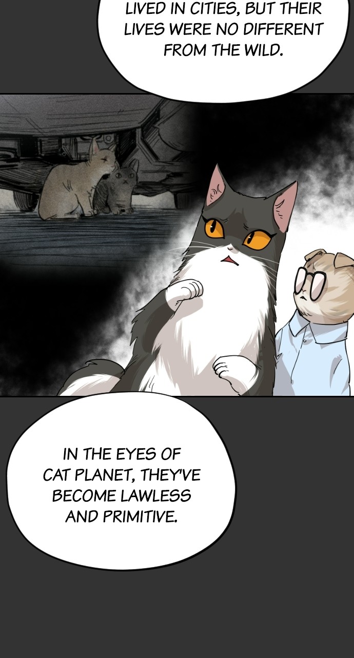 Read Meow Rangers Manga Online