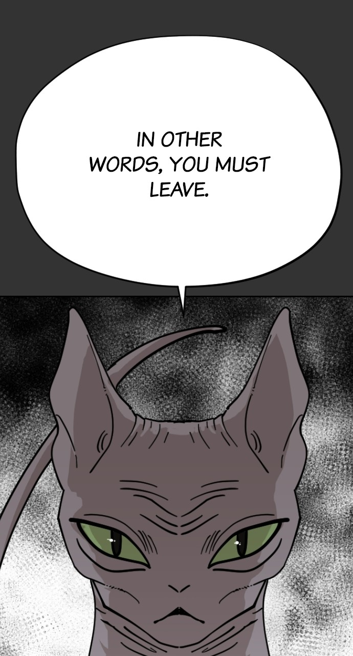 Read Meow Rangers Manga Online
