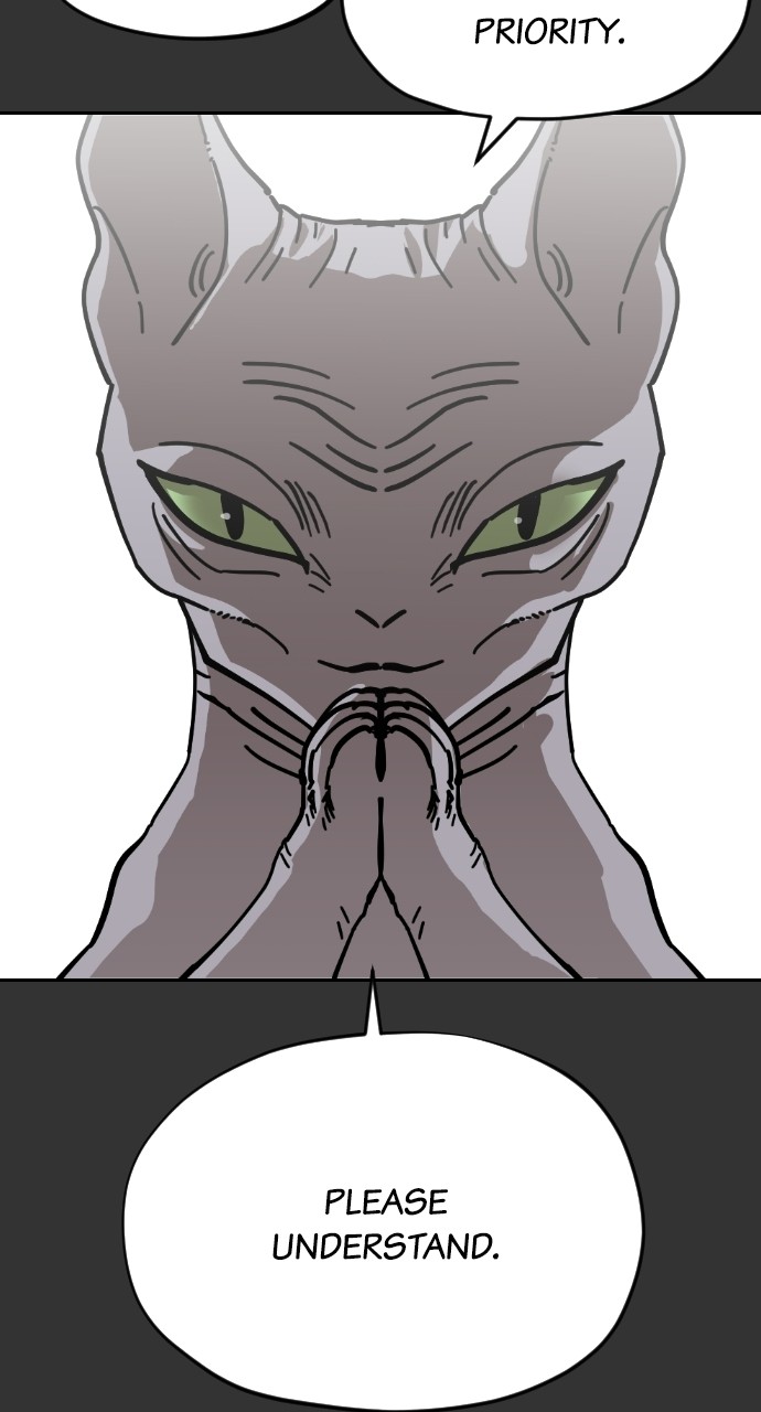 Read Meow Rangers Manga Online