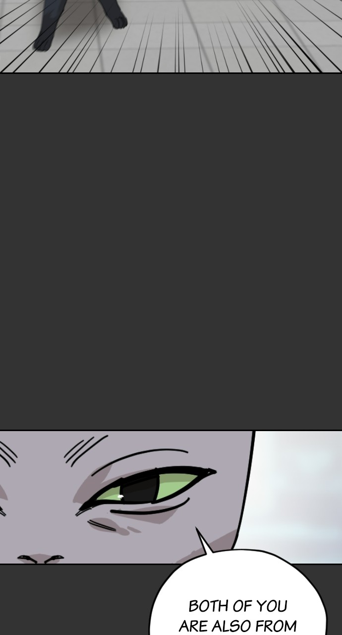 Read Meow Rangers Manga Online