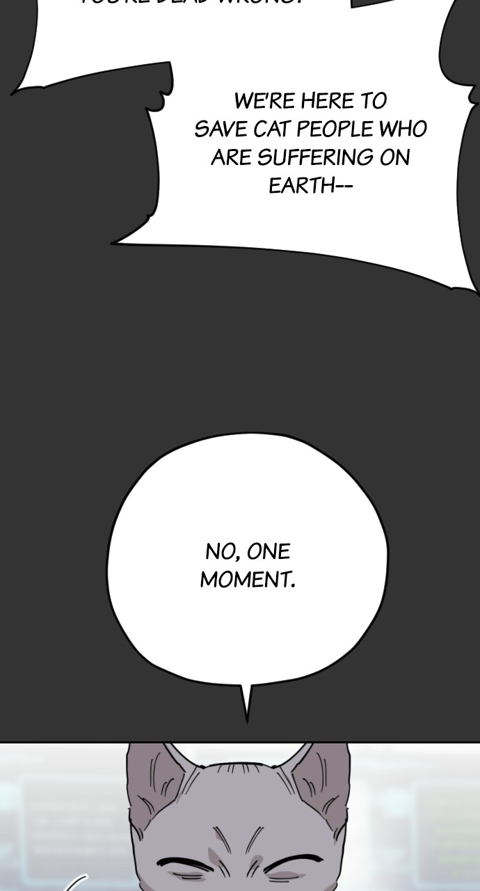 Read Meow Rangers Manga Online