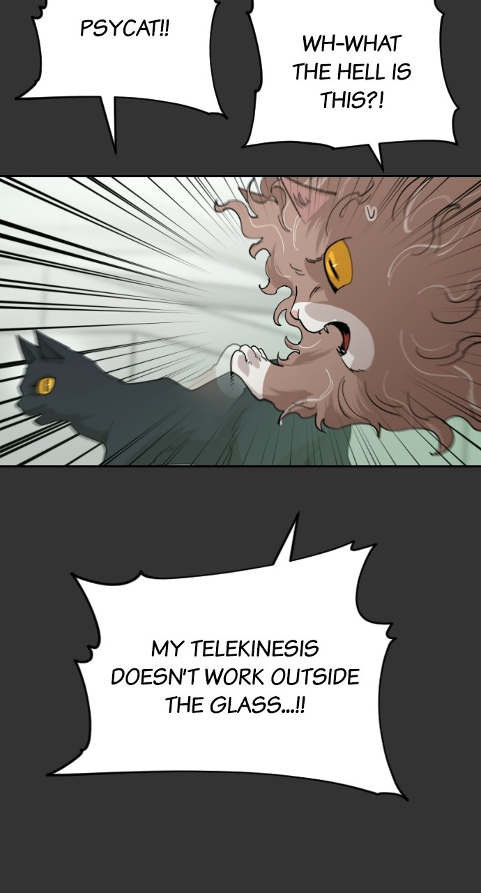 Read Meow Rangers Manga Online