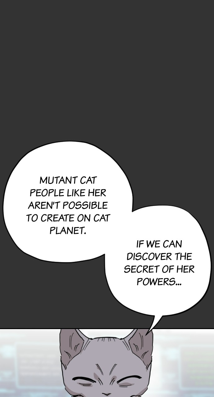 Read Meow Rangers Manga Online