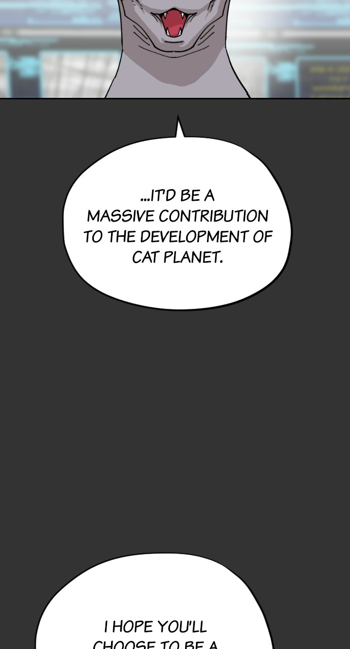 Read Meow Rangers Manga Online