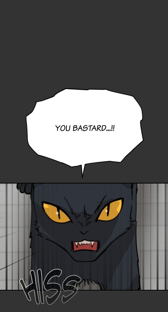 Read Meow Rangers Manga Online
