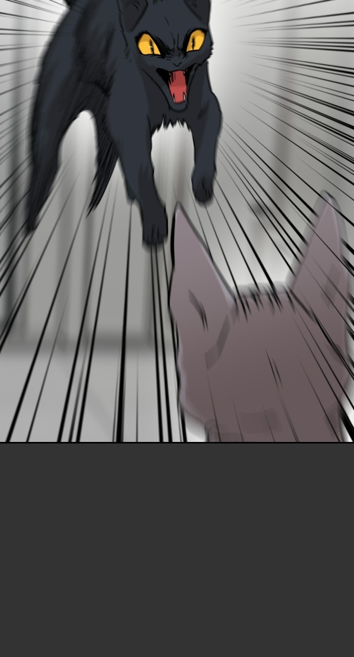 Read Meow Rangers Manga Online