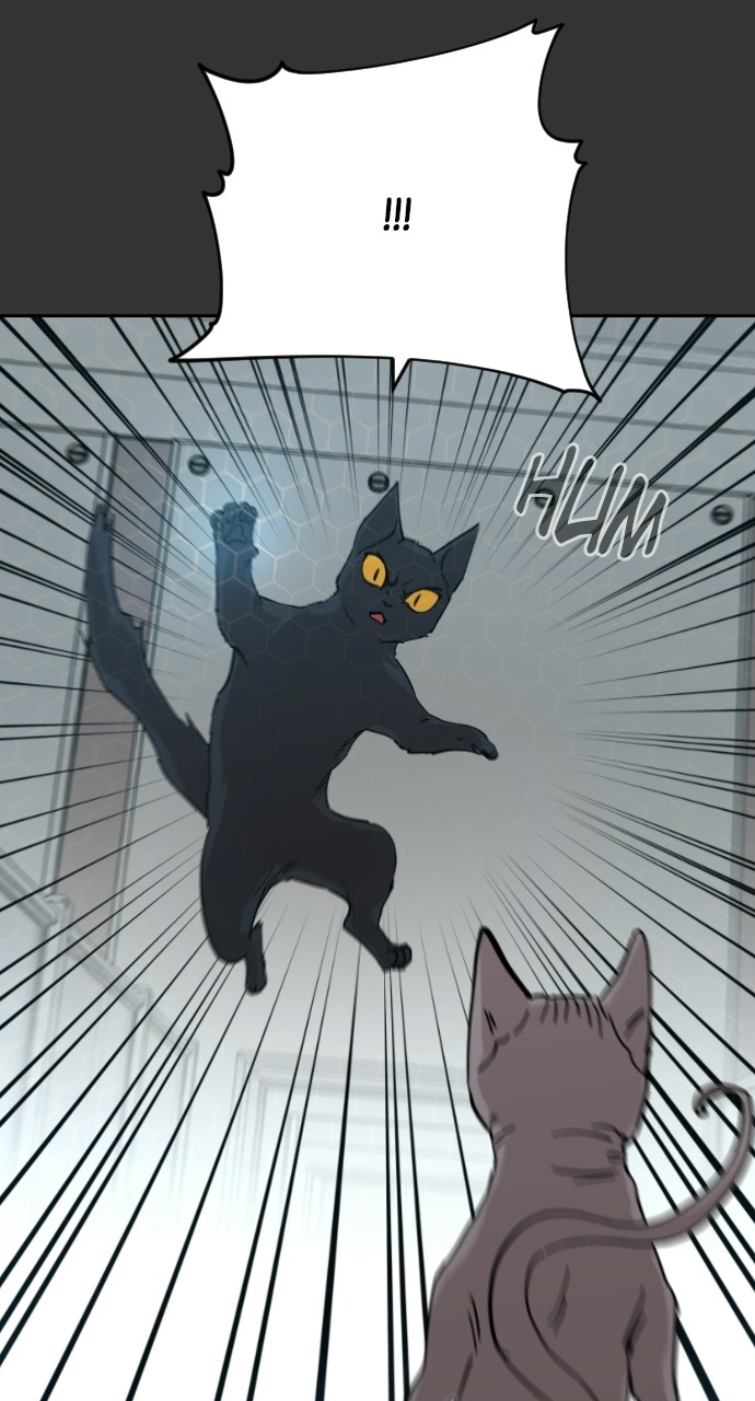 Read Meow Rangers Manga Online