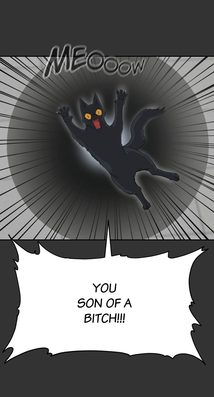 Read Meow Rangers Manga Online