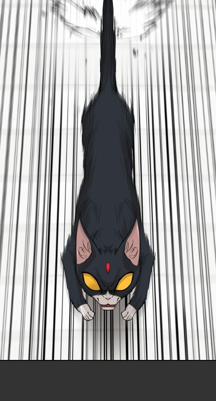 Read Meow Rangers Manga Online