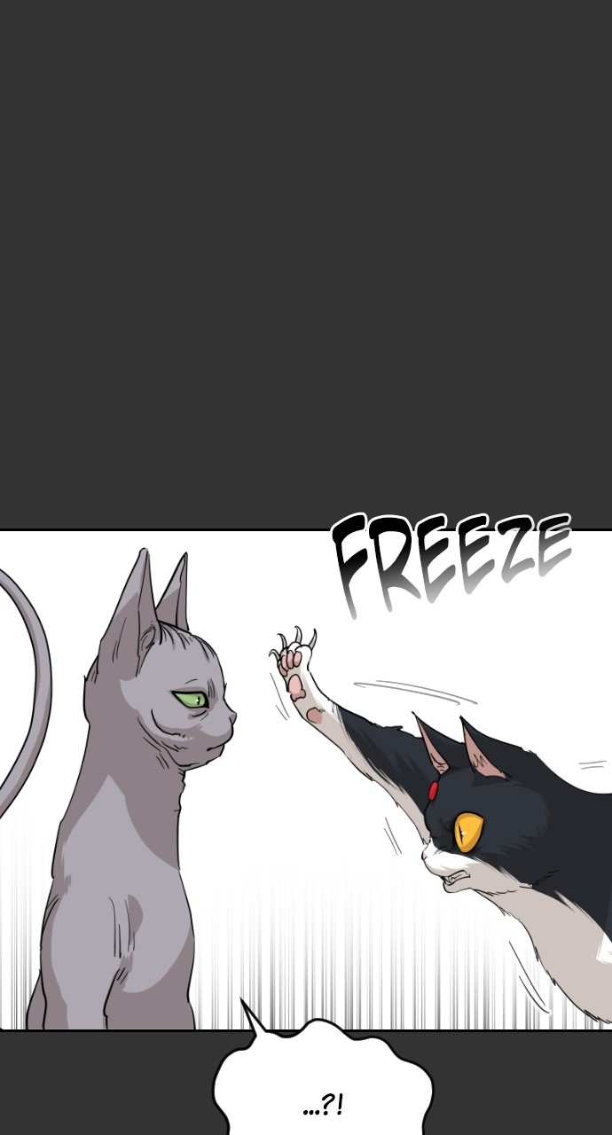 Read Meow Rangers Manga Online