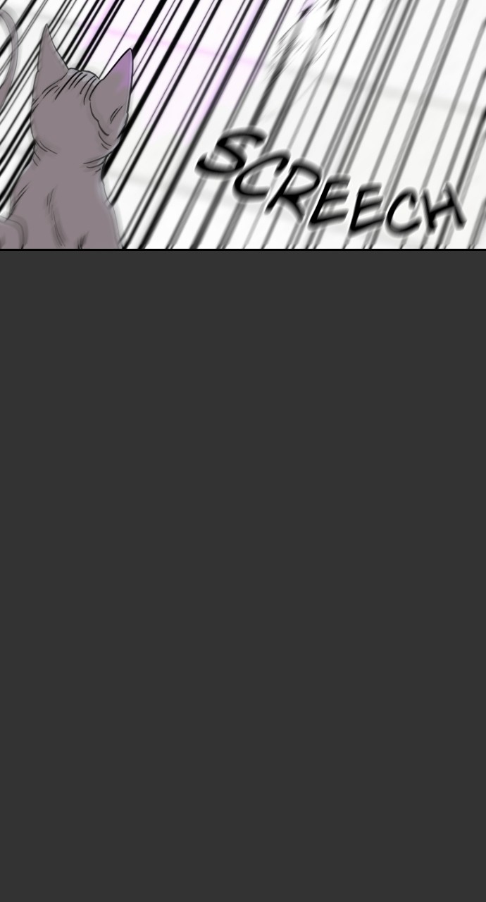 Read Meow Rangers Manga Online