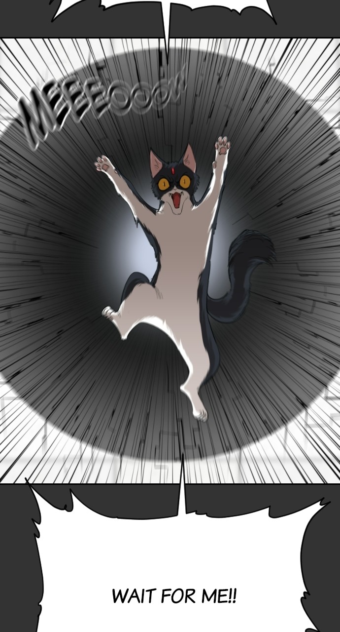 Read Meow Rangers Manga Online