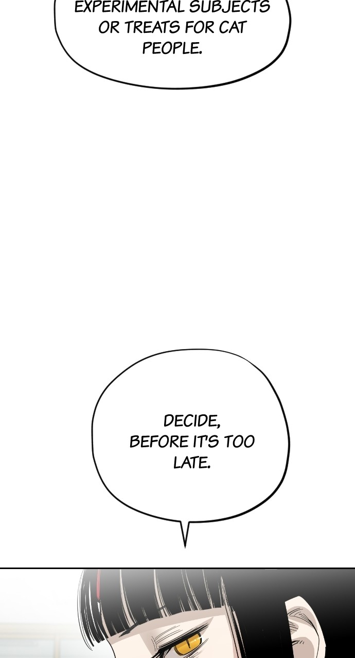 Read Meow Rangers Manga Online