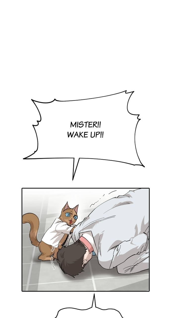 Read Meow Rangers Manga Online
