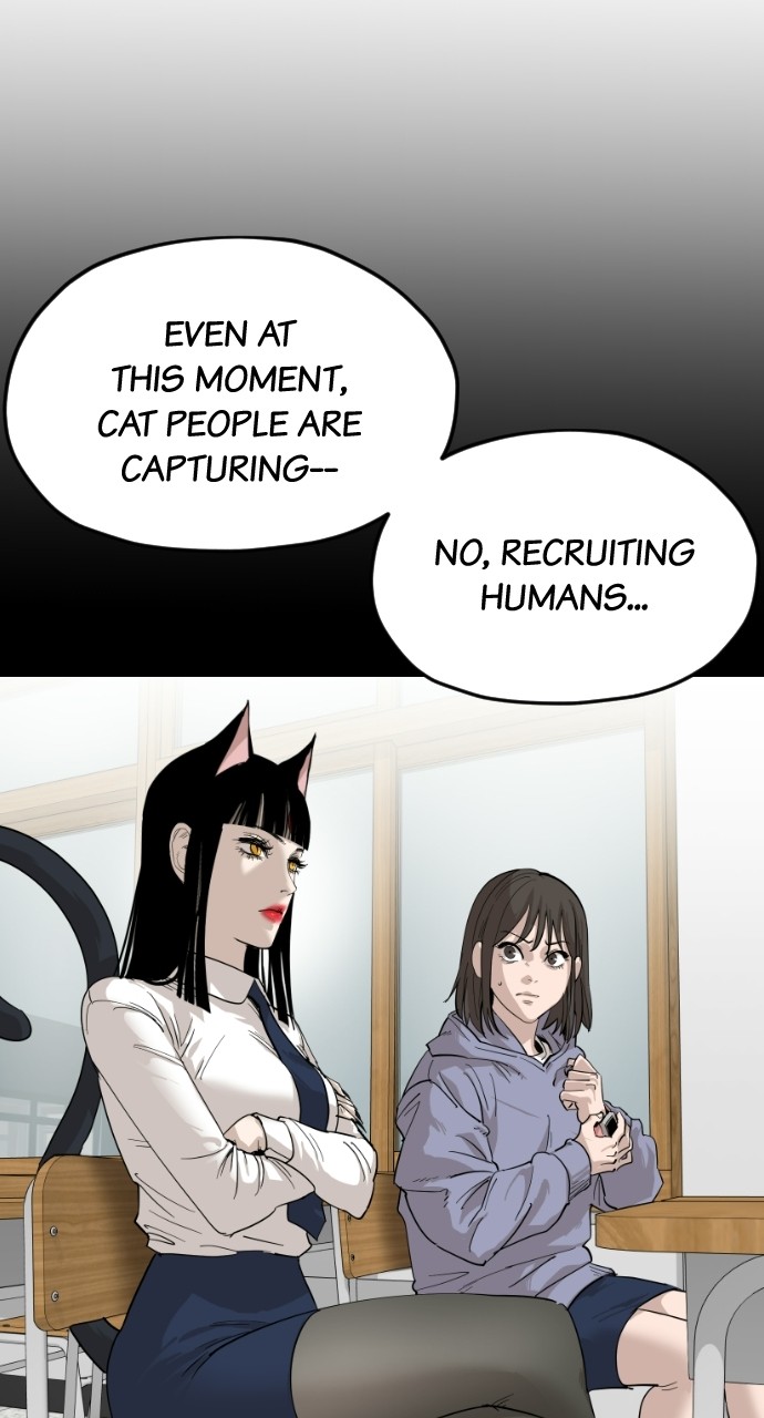 Read Meow Rangers Manga Online