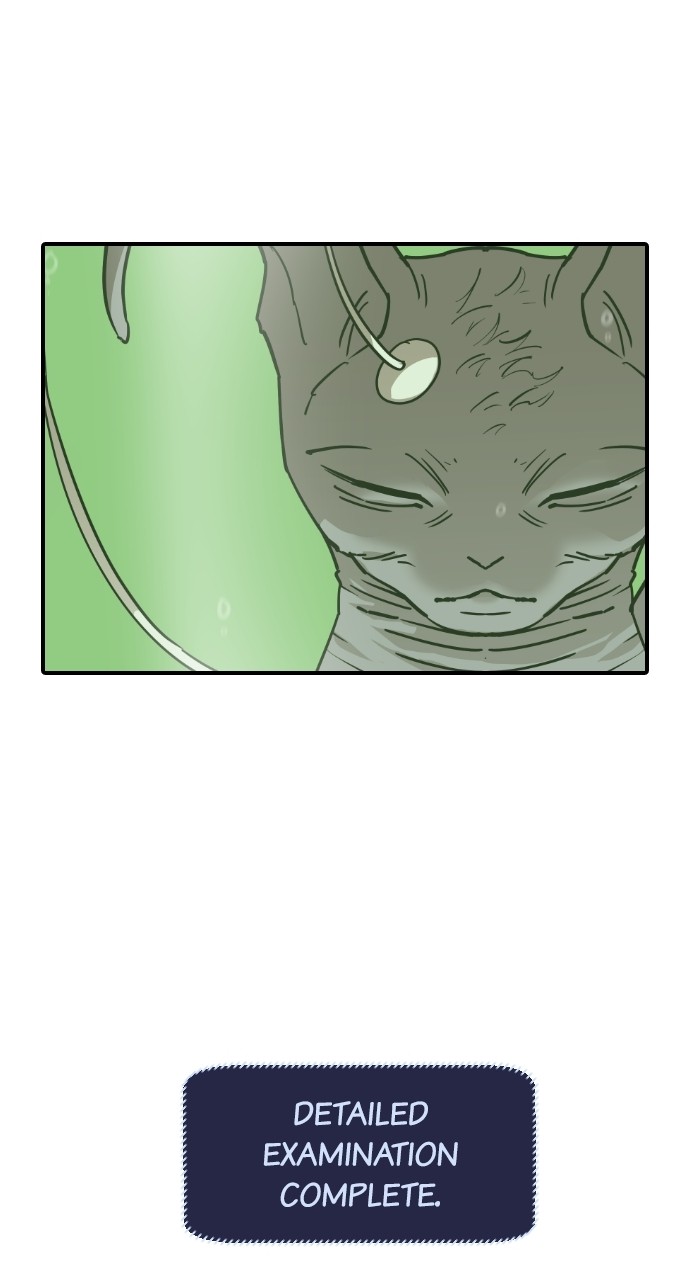 Read Meow Rangers Manga Online