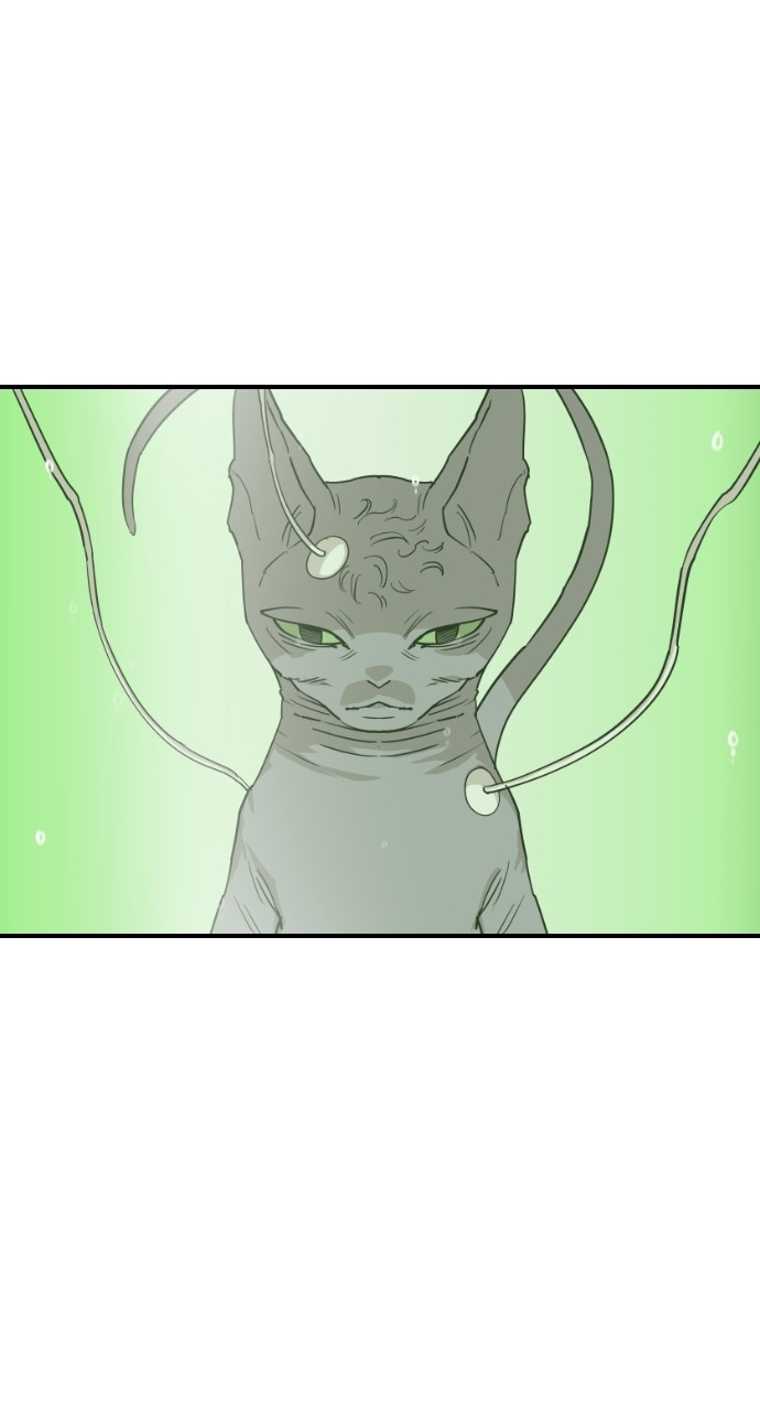 Read Meow Rangers Manga Online