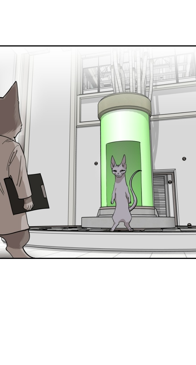 Read Meow Rangers Manga Online