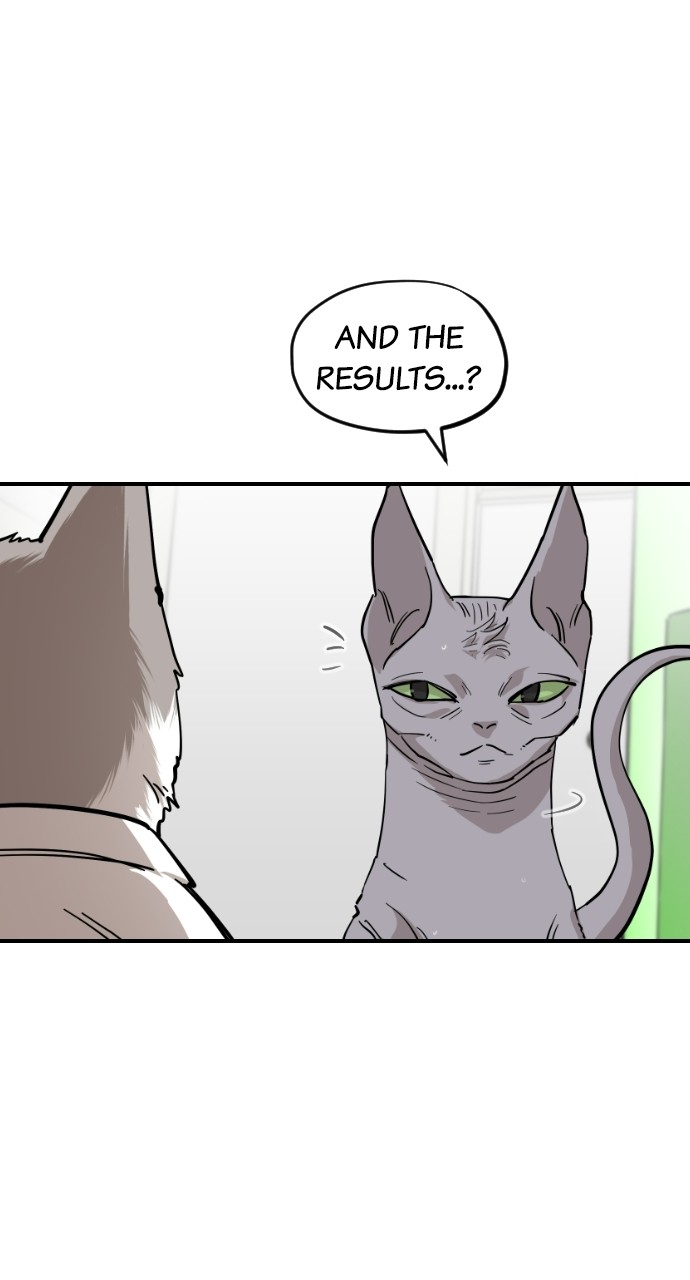 Read Meow Rangers Manga Online