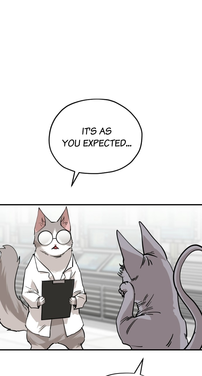Read Meow Rangers Manga Online