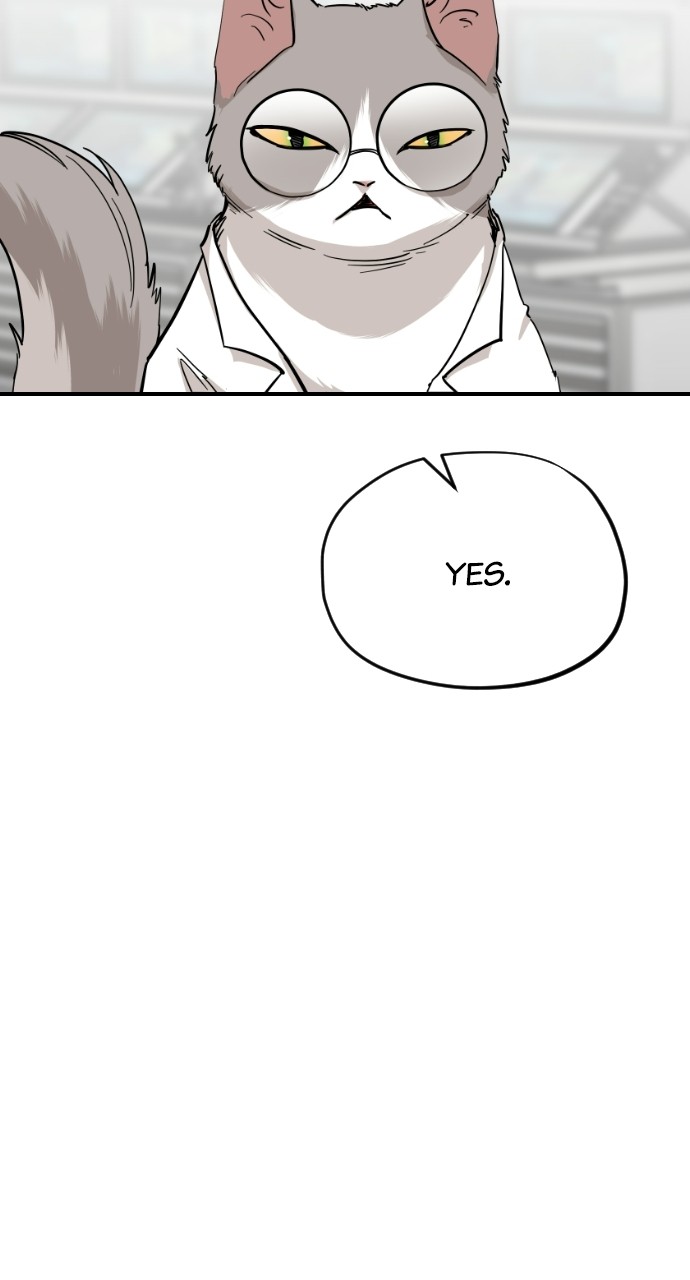 Read Meow Rangers Manga Online