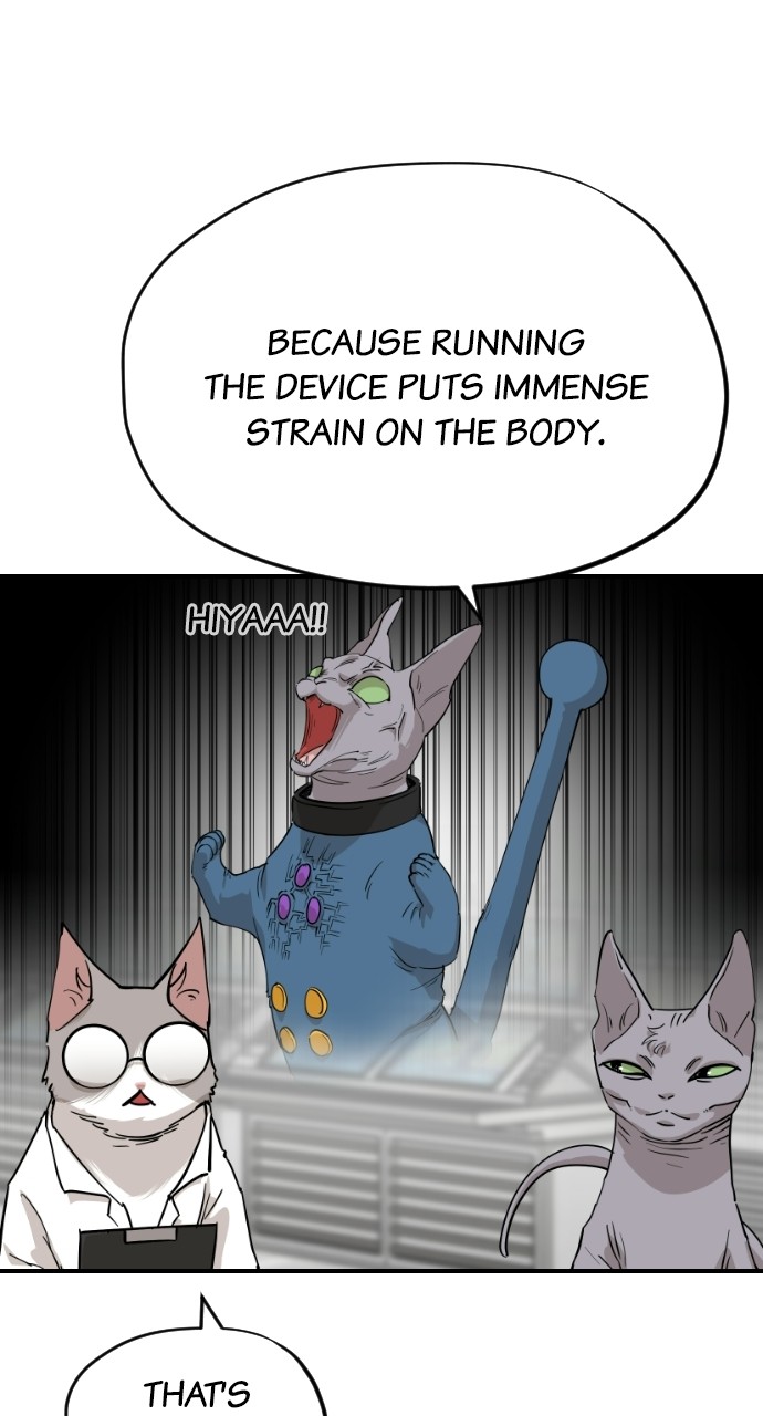 Read Meow Rangers Manga Online
