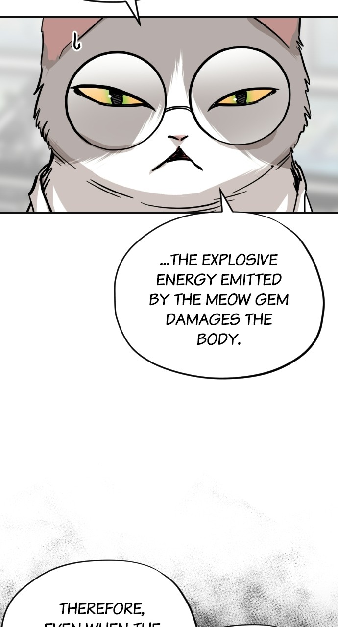 Read Meow Rangers Manga Online