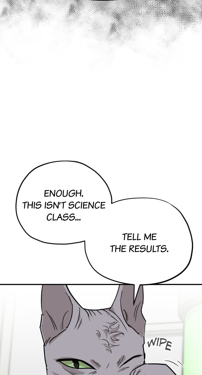 Read Meow Rangers Manga Online