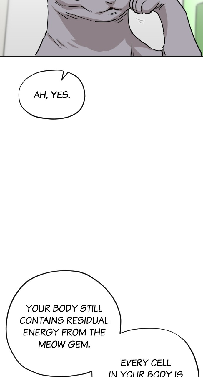 Read Meow Rangers Manga Online