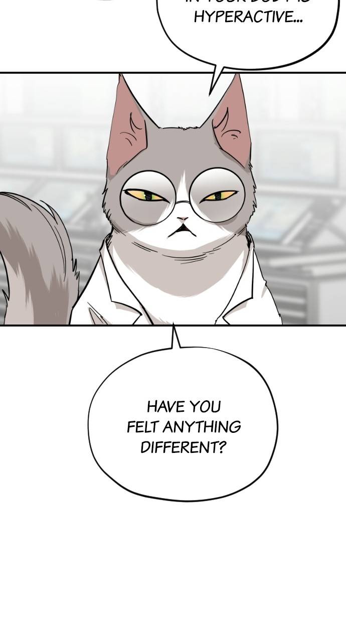 Read Meow Rangers Manga Online