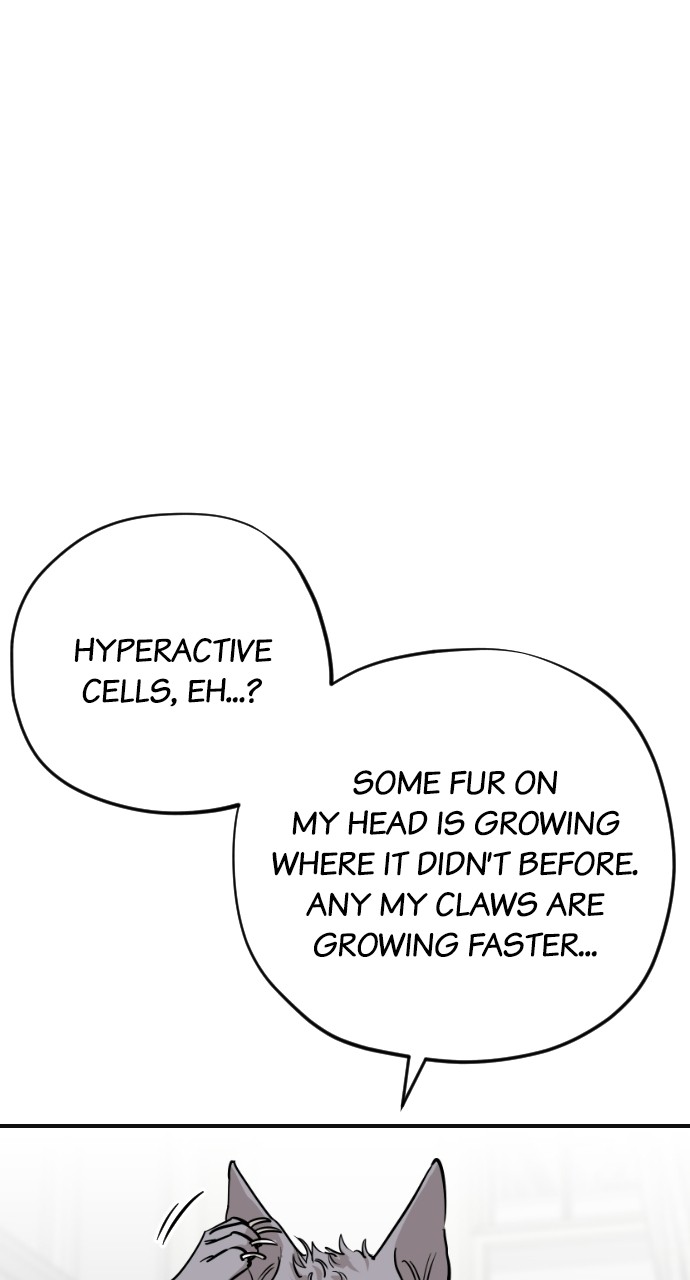 Read Meow Rangers Manga Online