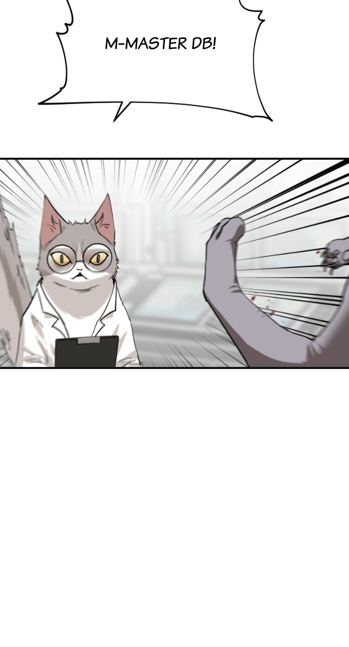 Read Meow Rangers Manga Online