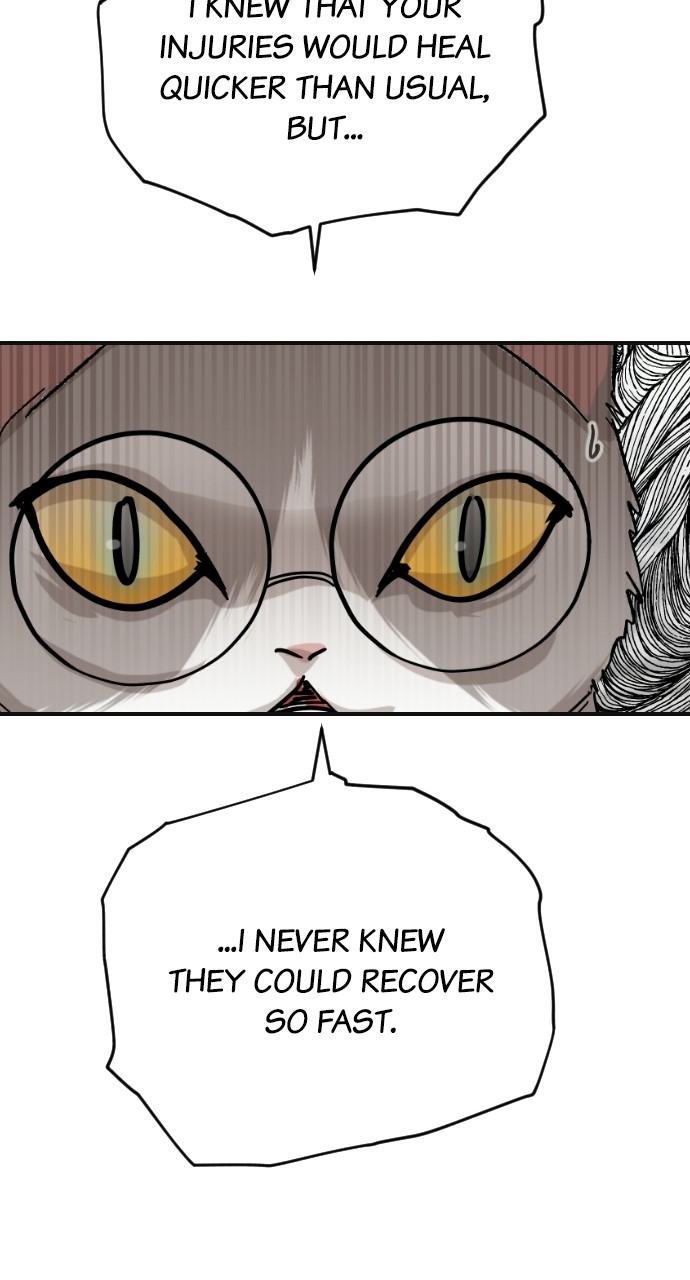 Read Meow Rangers Manga Online