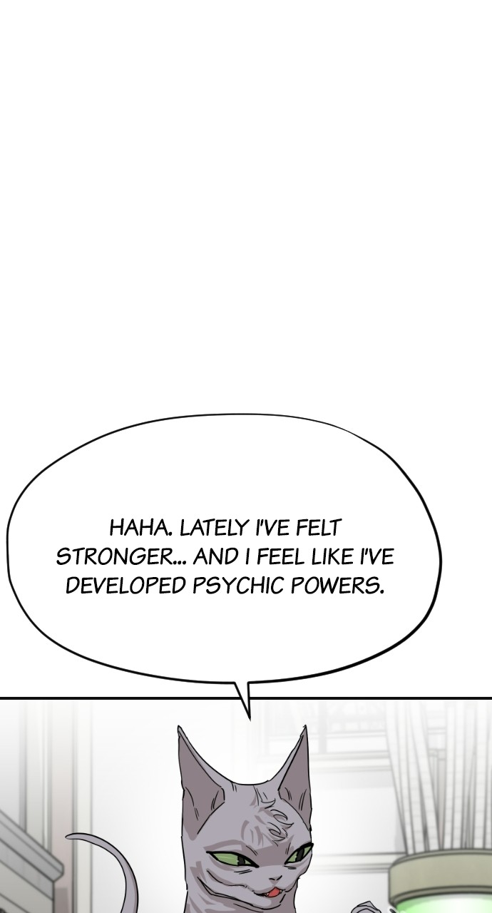 Read Meow Rangers Manga Online