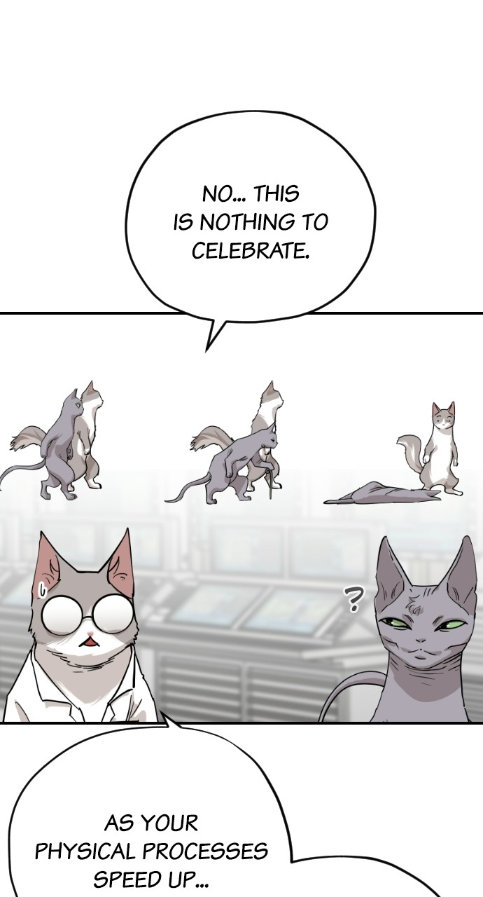 Read Meow Rangers Manga Online