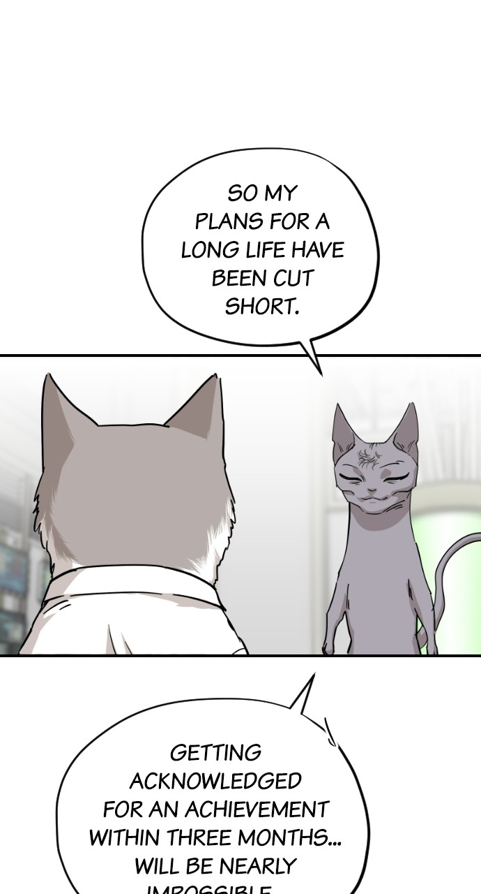 Read Meow Rangers Manga Online