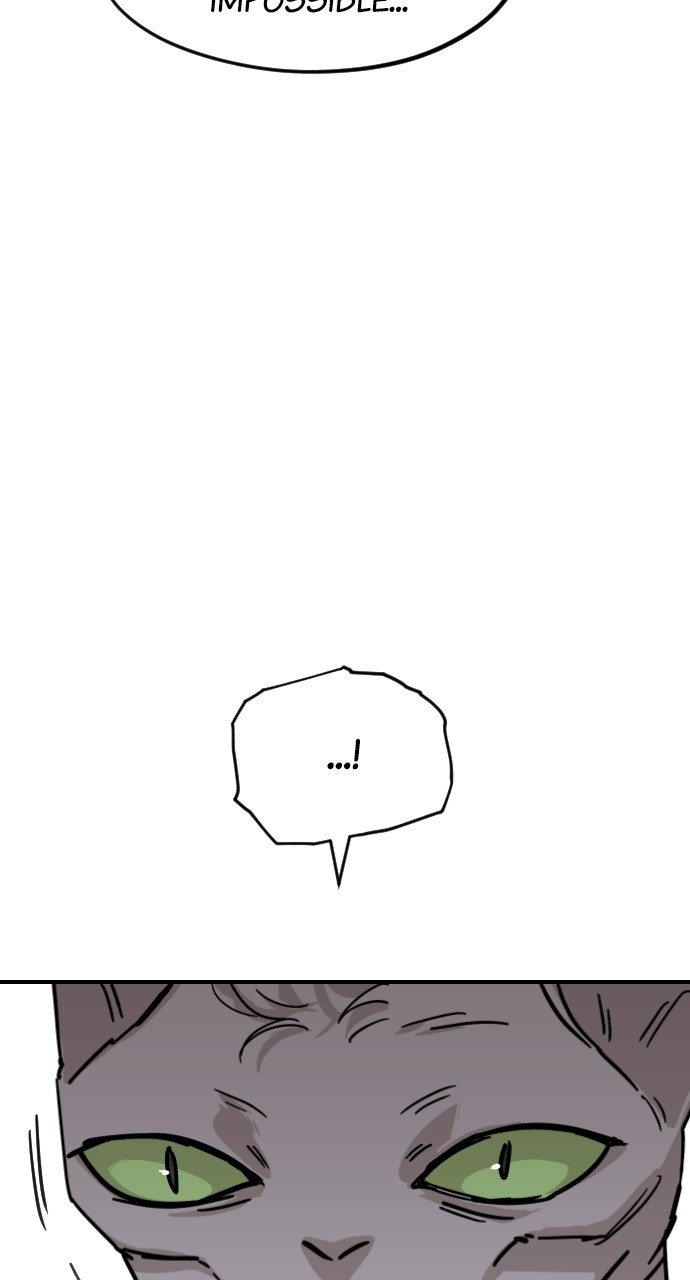 Read Meow Rangers Manga Online
