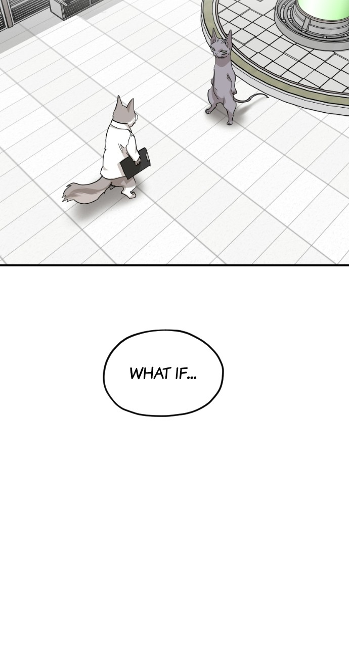 Read Meow Rangers Manga Online