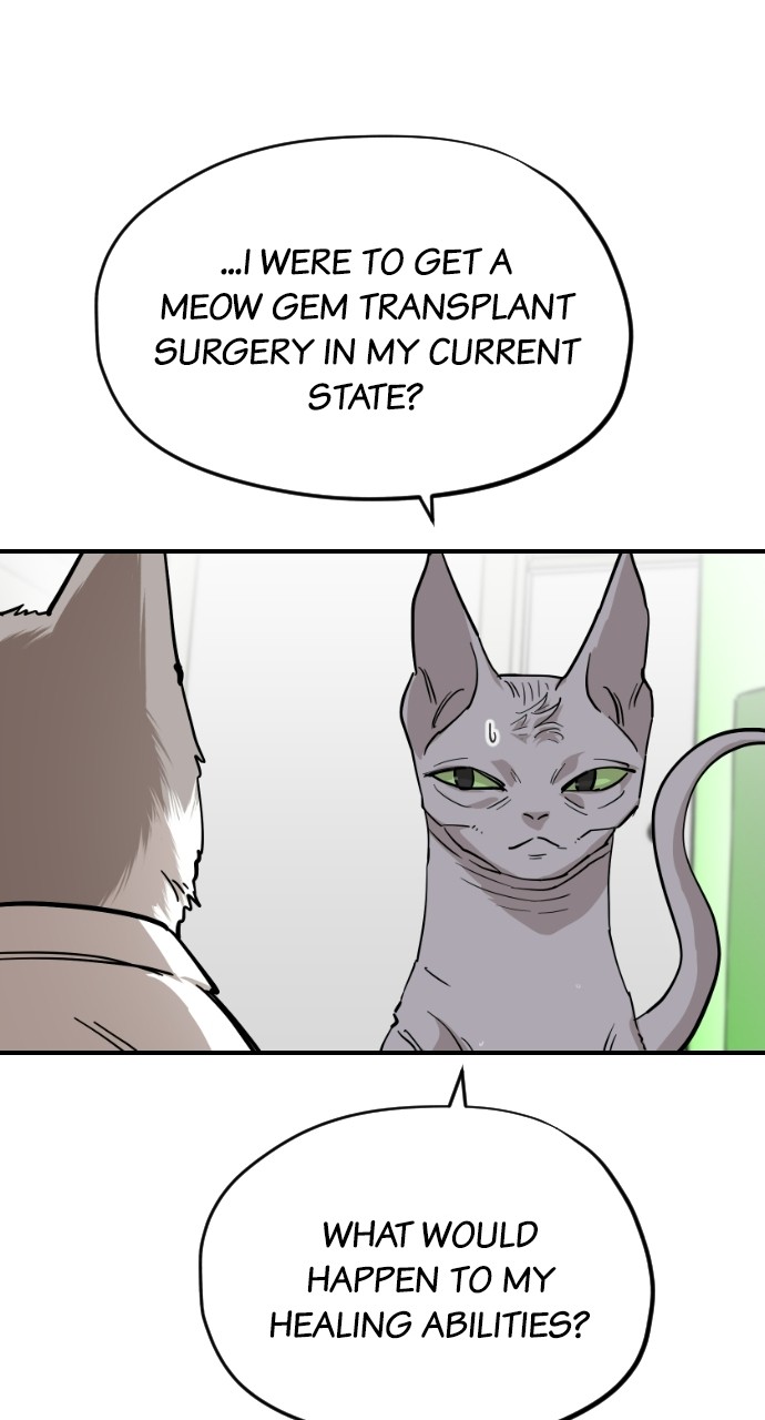 Read Meow Rangers Manga Online