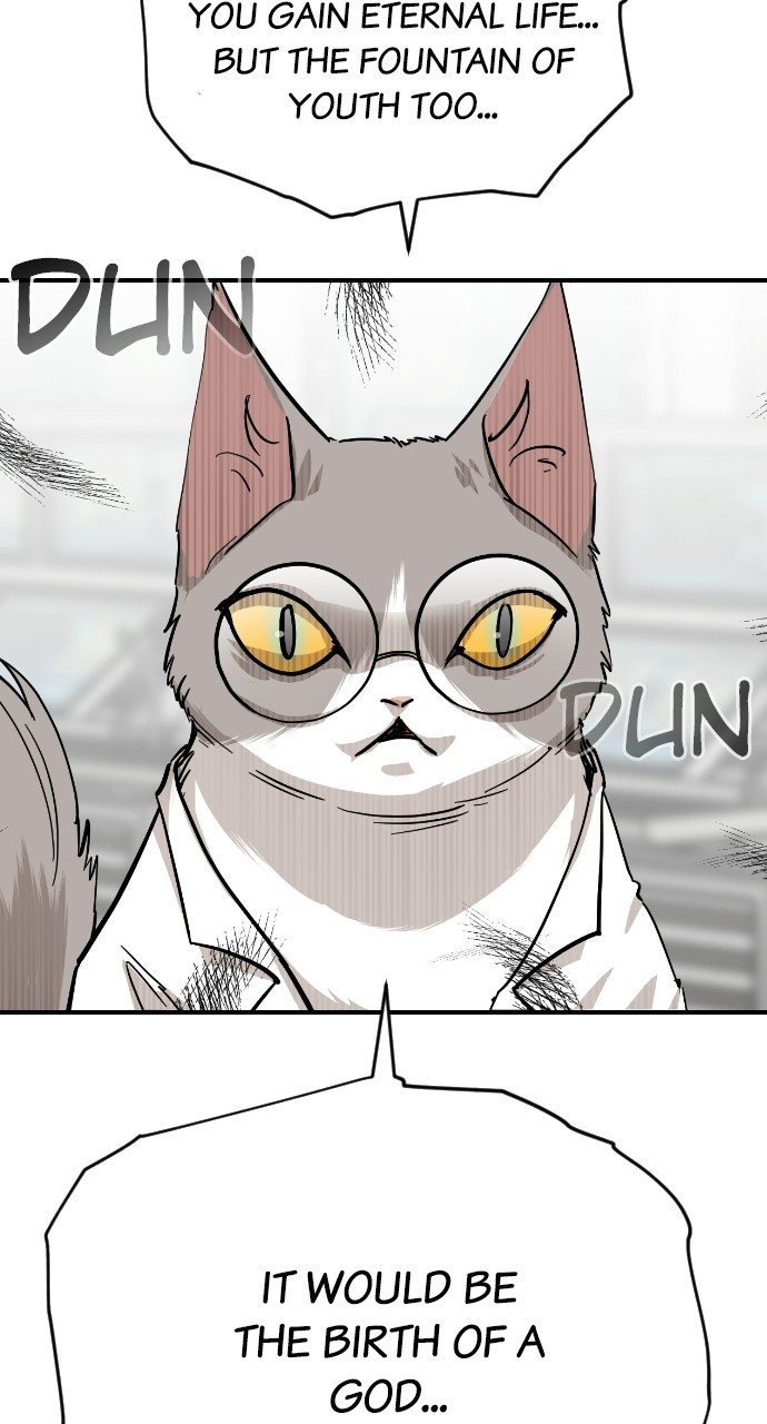 Read Meow Rangers Manga Online