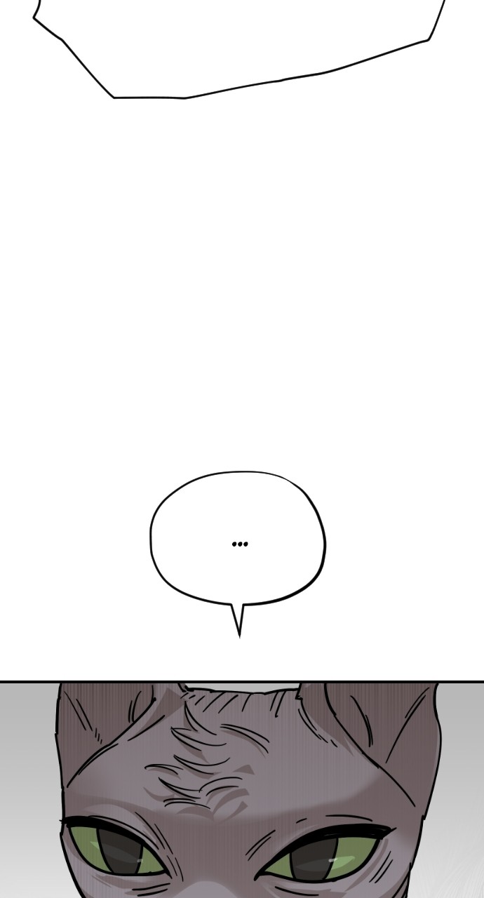 Read Meow Rangers Manga Online