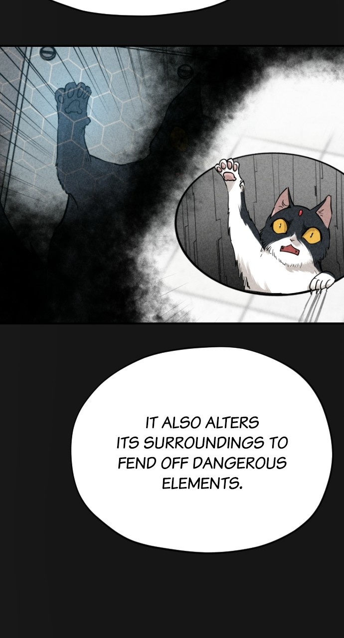 Read Meow Rangers Manga Online