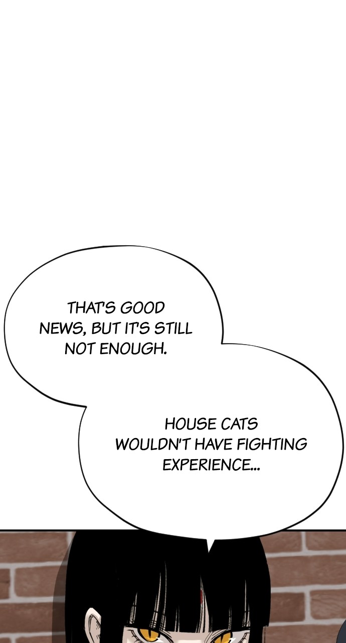 Read Meow Rangers Manga Online