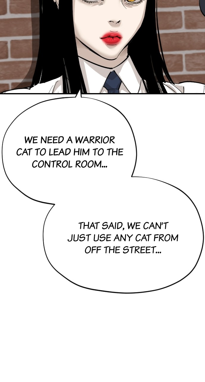 Read Meow Rangers Manga Online