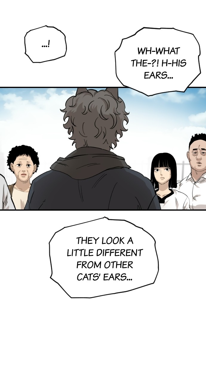 Read Meow Rangers Manga Online