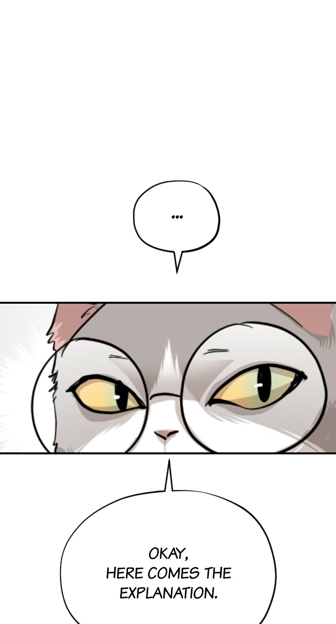 Read Meow Rangers Manga Online